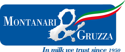 Logo Montanari & Gruzza